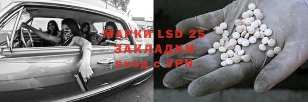 PSILOCYBIN Ладушкин