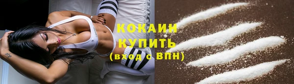 мдпв Лагань