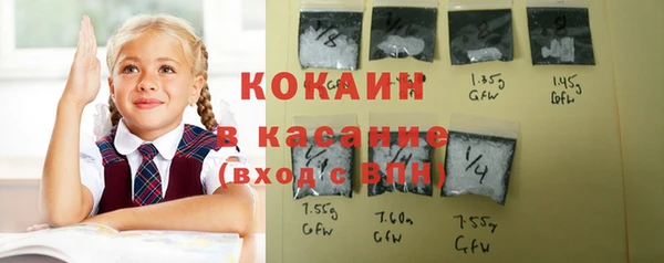мдпв Лагань
