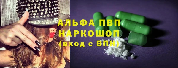 PSILOCYBIN Ладушкин