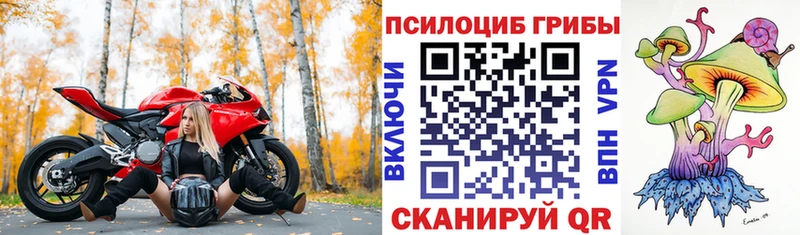 Галлюциногенные грибы прущие грибы  где можно купить наркотик  маркетплейс как зайти  Новое Девяткино 